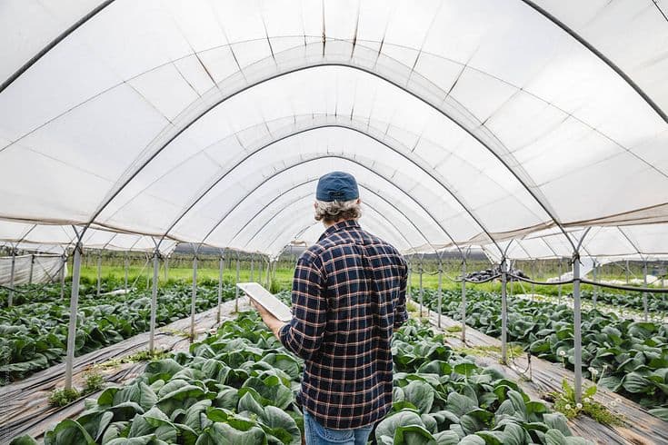 Farmer